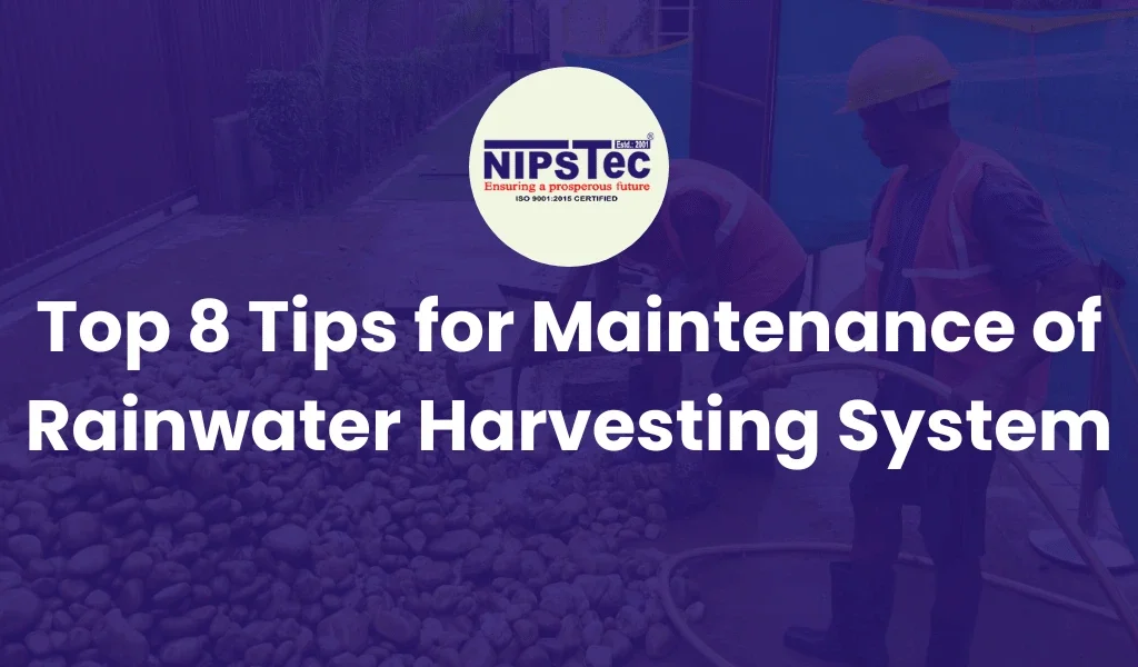 Top 8 Tips for Maintenance of Rainwater Harvesting System