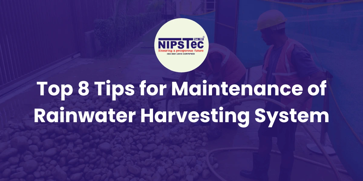 Top 8 Tips for Maintenance of Rainwater Harvesting System