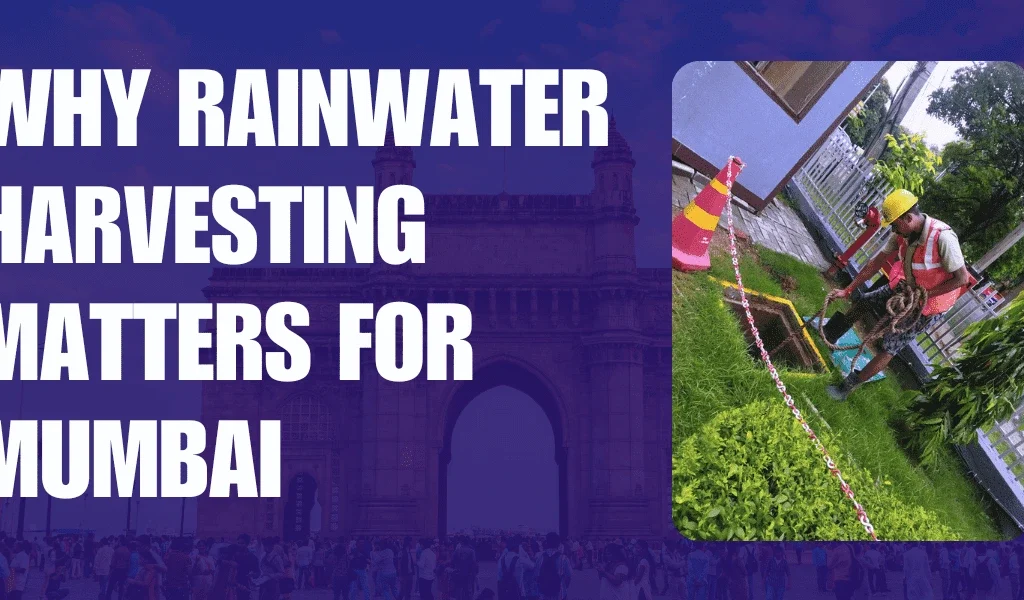 Why Rainwater Harvesting Matters for Mumbai