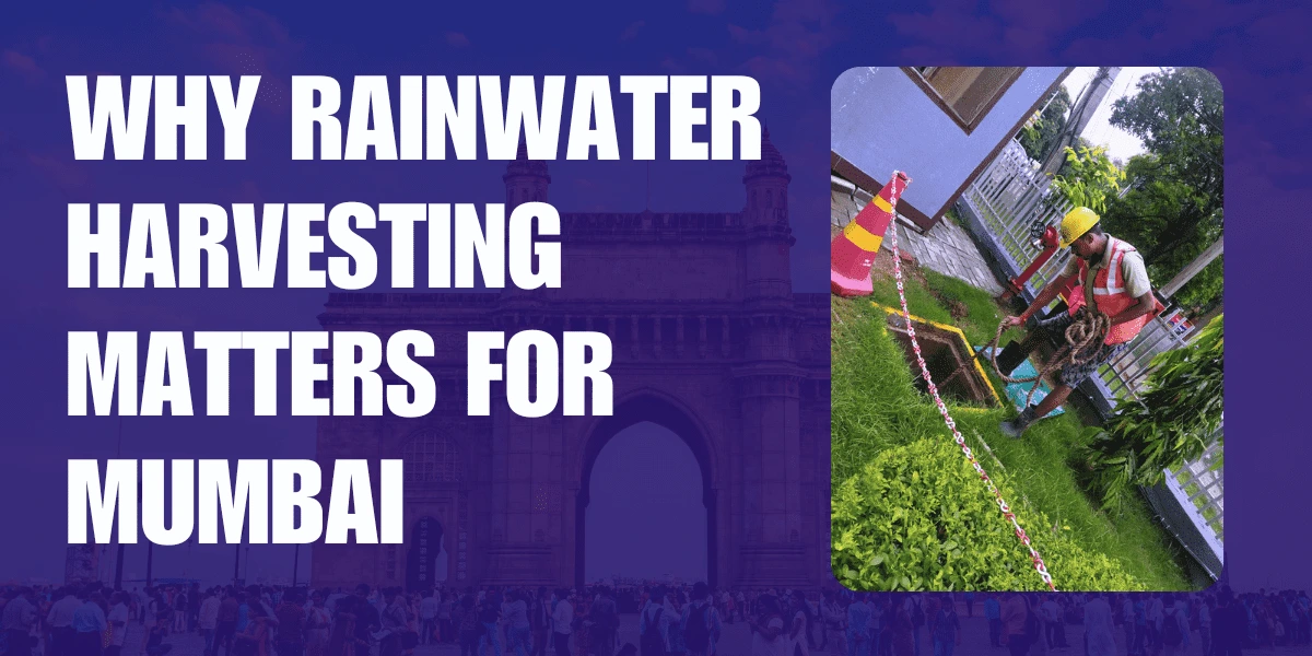 Why Rainwater Harvesting Matters for Mumbai